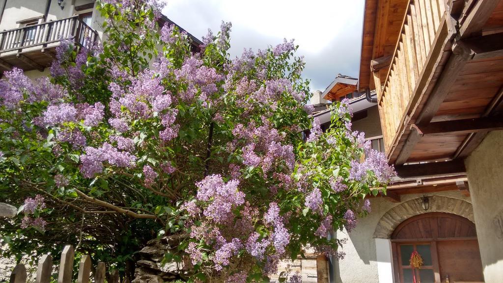 Apartament Casa Grande Pragelato Zewnętrze zdjęcie